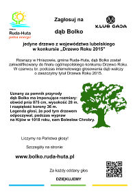 Miniaturka artykułu Zagłosuj na dąb Bolko w konkursie na „Drzewo Roku 2015”