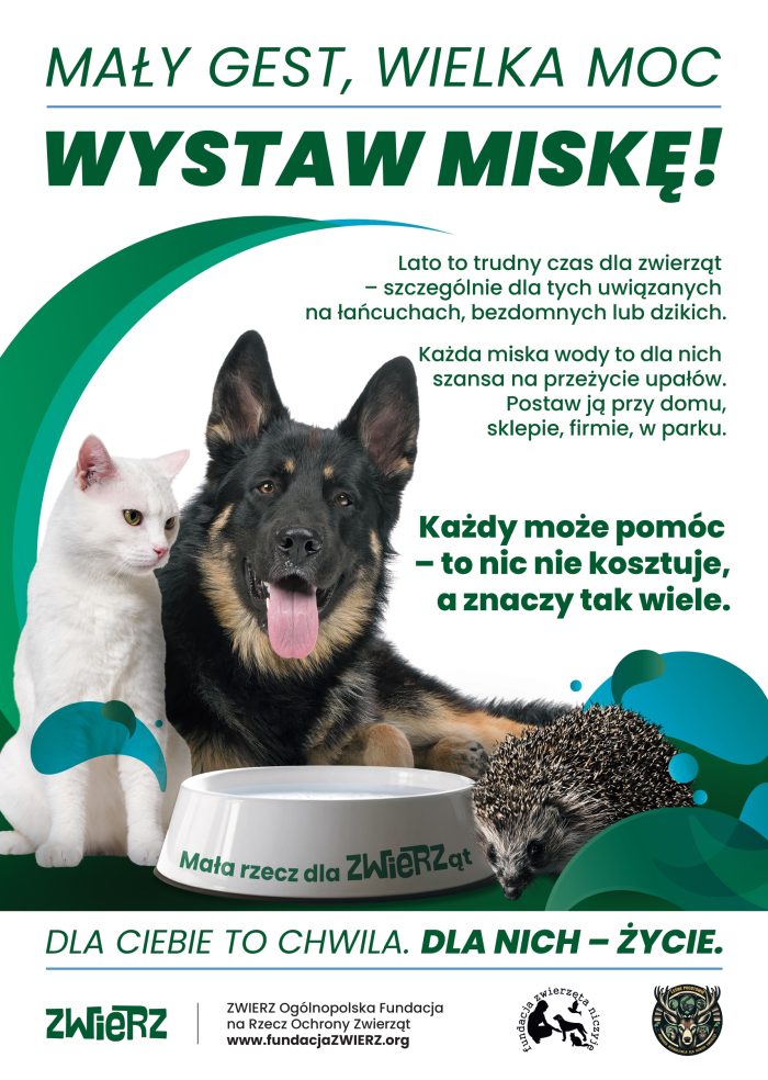 Miniaturka artykułu „WYSTAW MISKĘ”