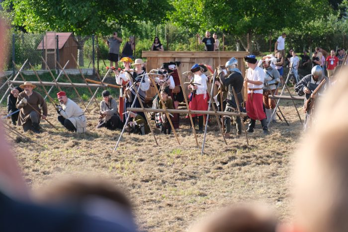 Miniaturka artykułu Rajza wojsławicka w XVI wieku
