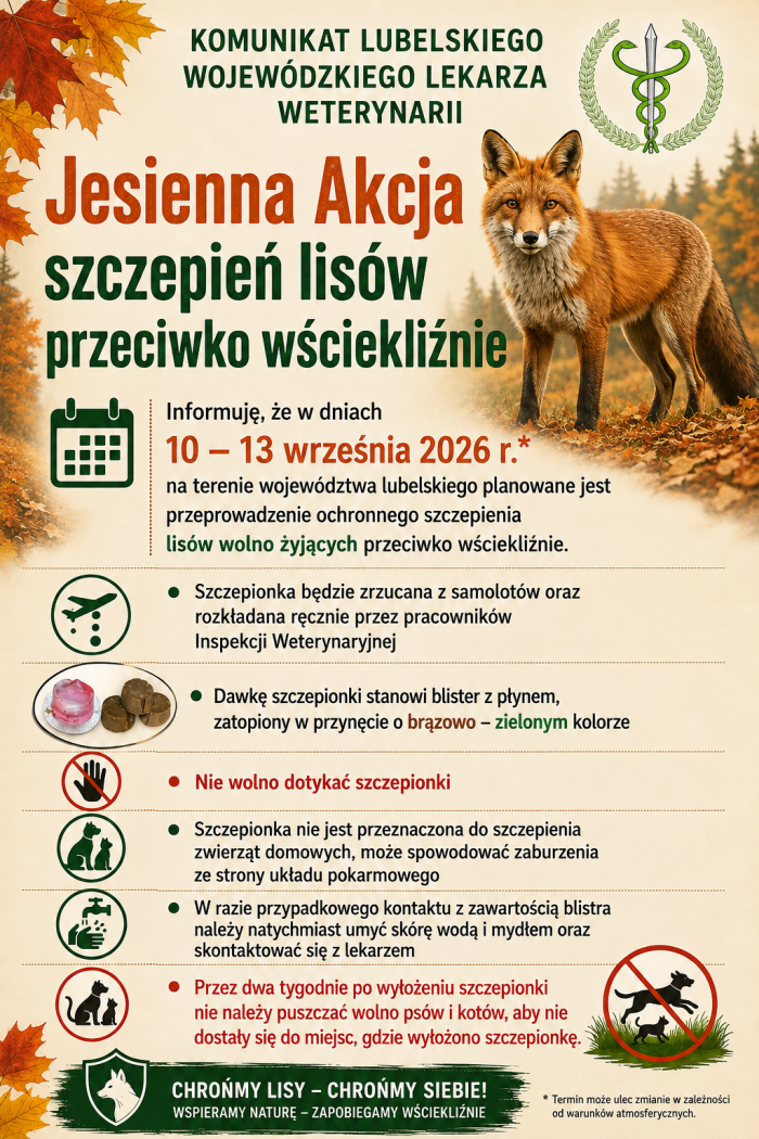 Miniaturka artykułu Akcja szczepienia lisów przeciwko wściekliźnie