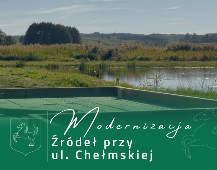 Miniaturka artykułu Źródła przy ul. Chełmskiej przechodzą metamorfozę